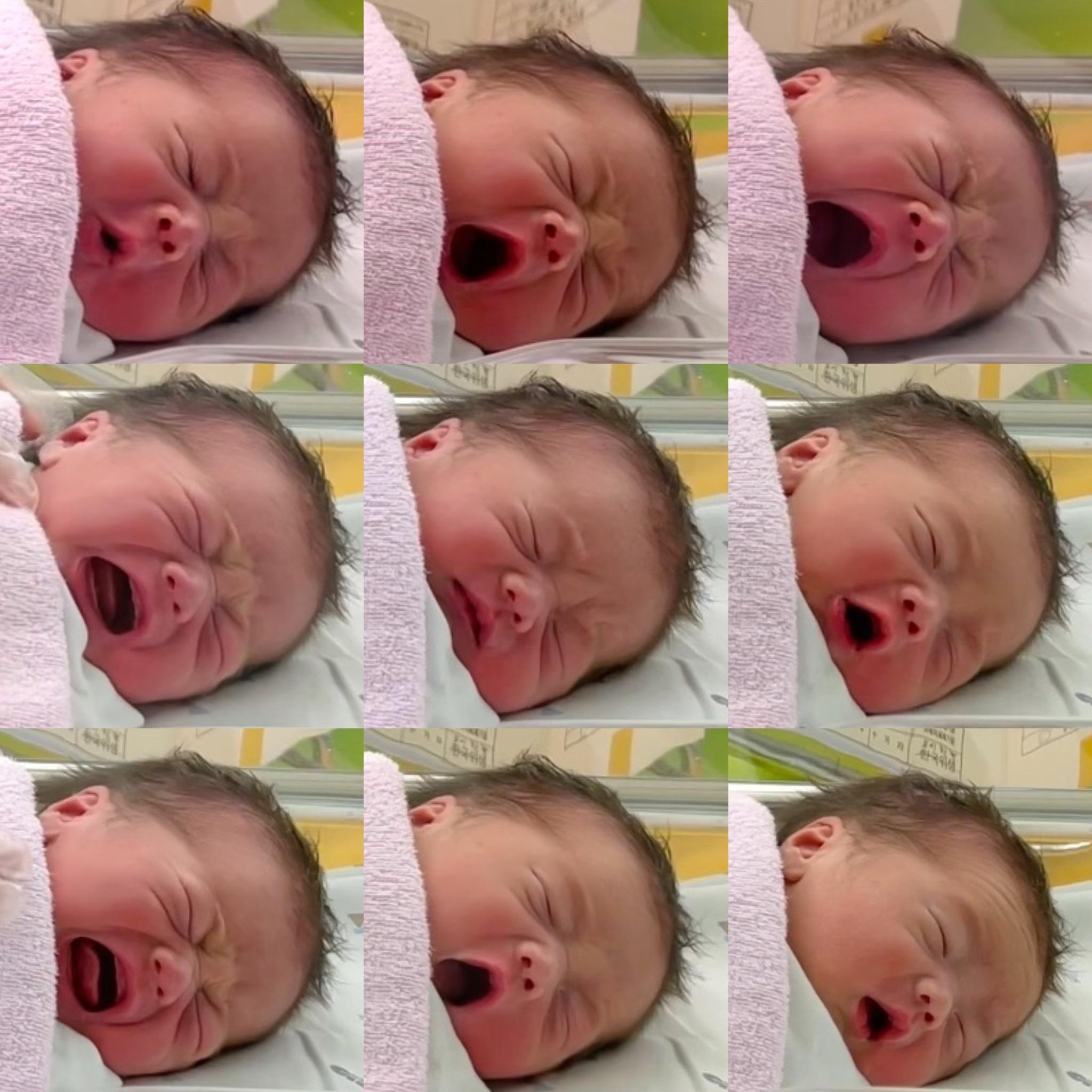 이든이 9종세트